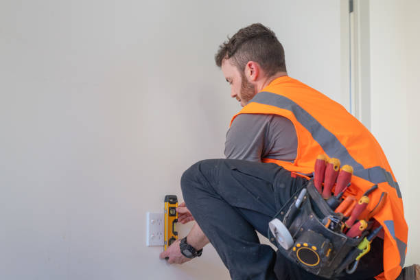 Best Electric Panel Repair  in Talluh, LA
